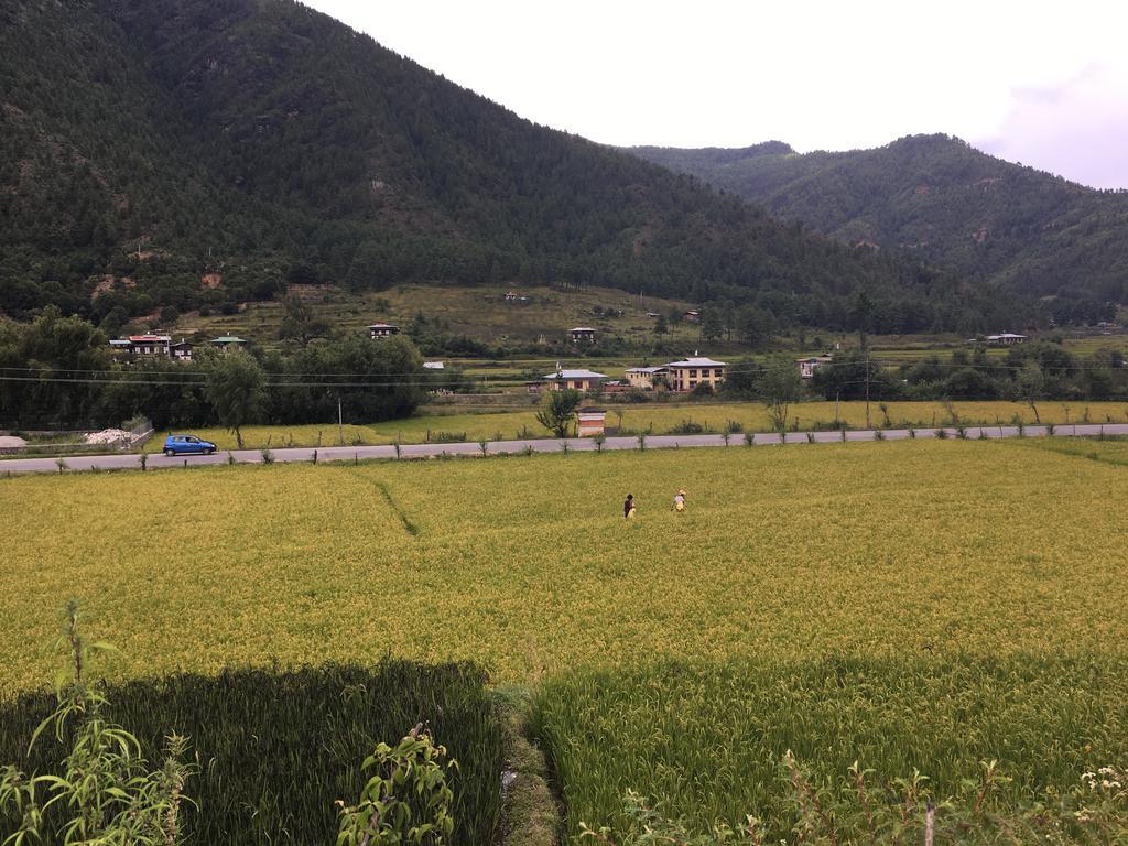 Ama'S Village Lodge Paro Buitenkant foto