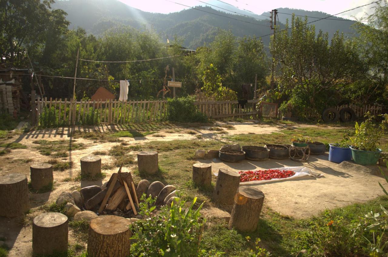 Ama'S Village Lodge Paro Buitenkant foto